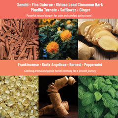 Motion Sickness Patches Natural Motion Sickness Support with Ginger, Peppermint, Sanchi & Herbal Botanicals, 36 patches
